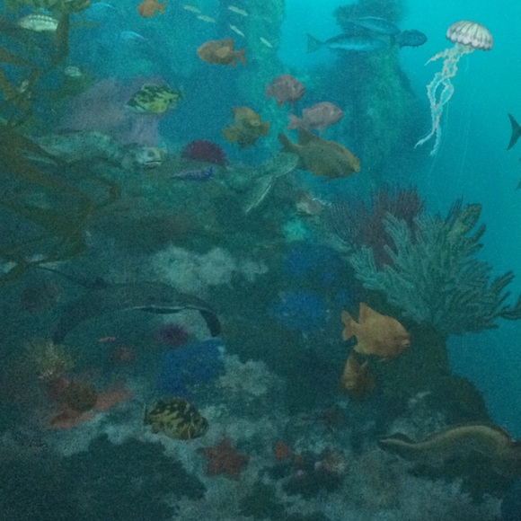 Meet your Posher, Shannel - Picture 2 of 2